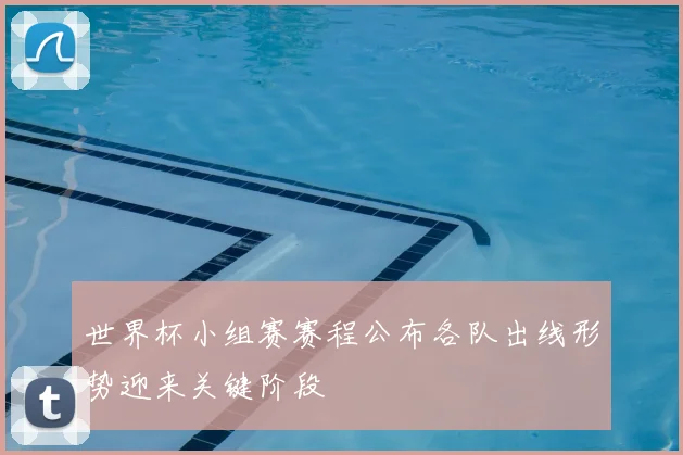 世界杯小组赛赛程公布各队出线形势迎来关键阶段