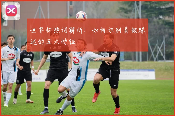 世界杯热词解析：如何识别真假球迷的五大特征