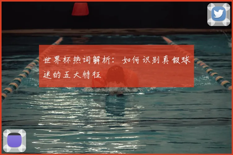 世界杯热词解析：如何识别真假球迷的五大特征