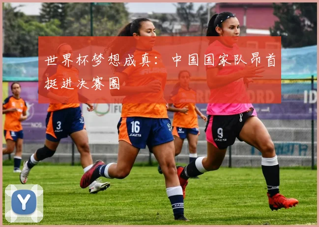 世界杯梦想成真:中国国家队昂首挺进决赛圈